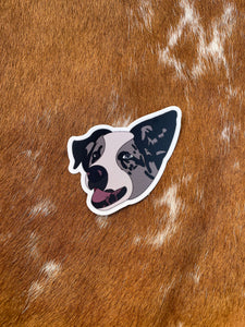 Blue Merle Aussie Sticker