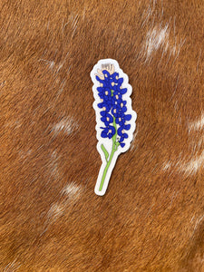 Bluebonnet Sticker